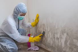  Denver City, TX Mold Inspection Pros